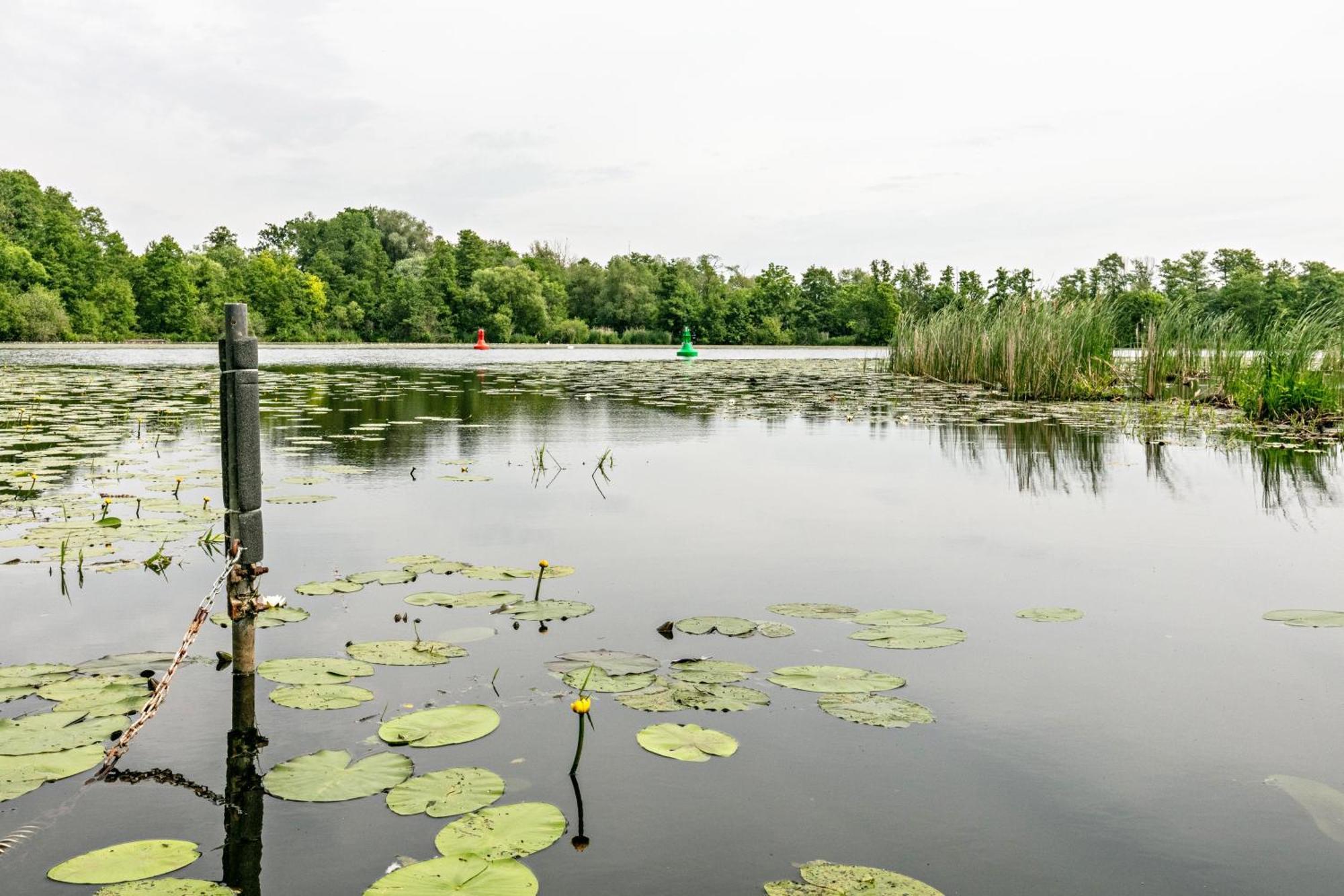 Haus Am See Villa Königs Wusterhausen Kültér fotó